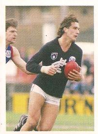 1991 Select AFL Stickers #5 Stephen Silvagni Front